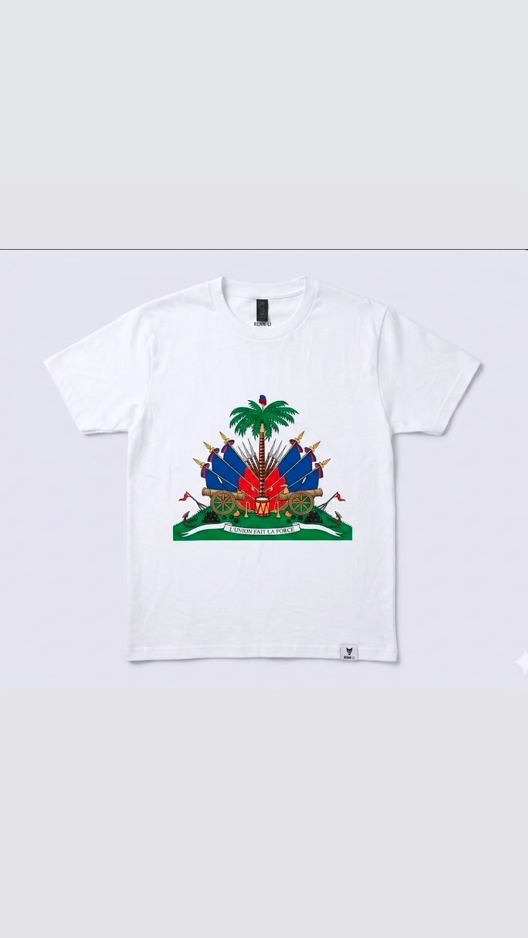 Haiti Armoirie logo
